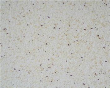 成都天然真石漆